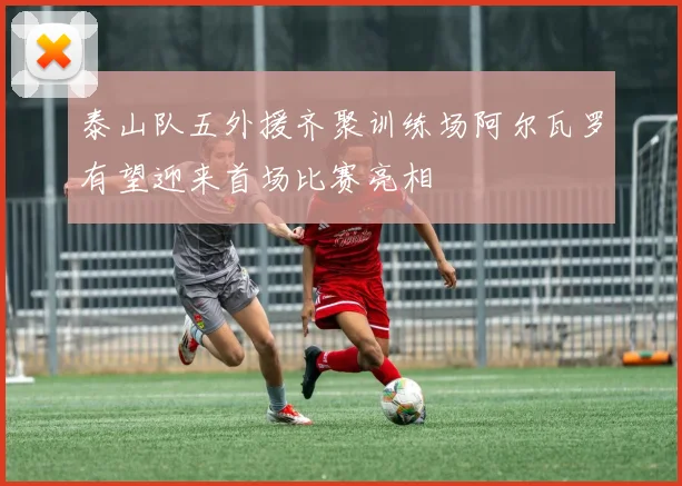 泰山队五外援齐聚训练场阿尔瓦罗有望迎来首场比赛亮相