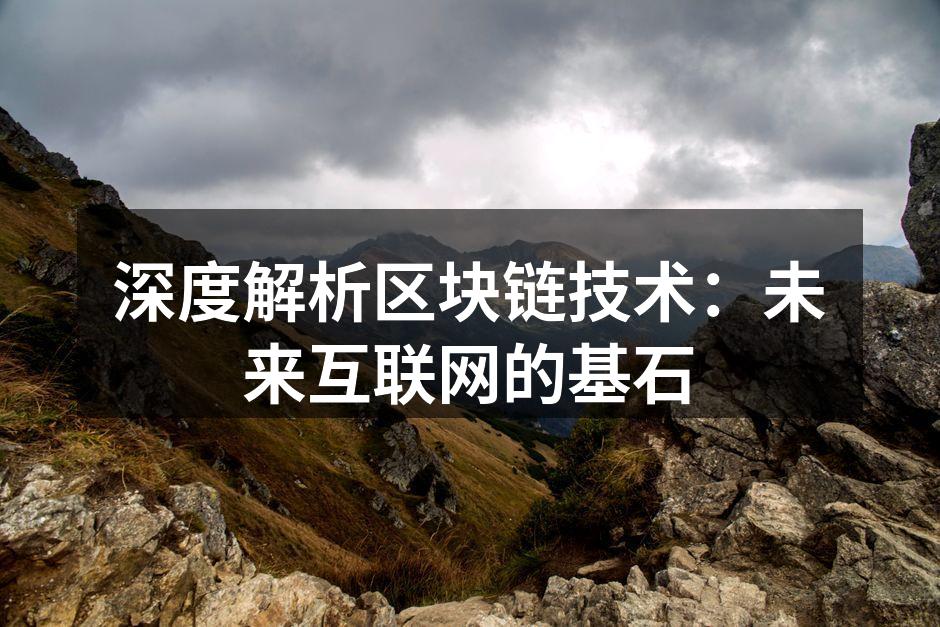 深度解析区块链技术:未来互联网的基石